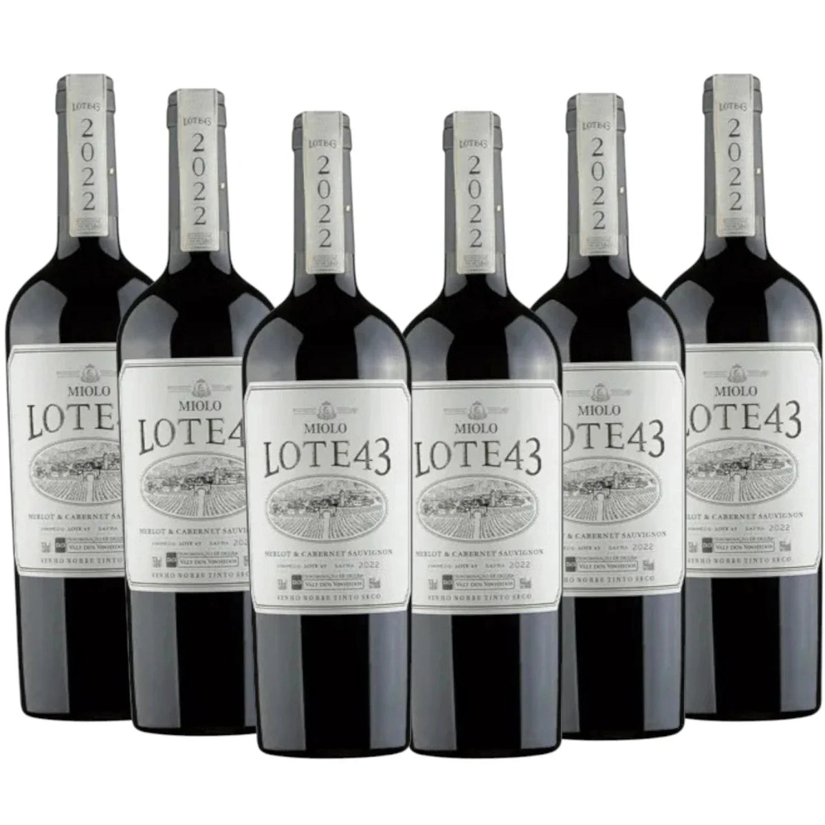 Kit 6 gfas Vinho Miolo Lote 43 Na caixa madeira Personalizada