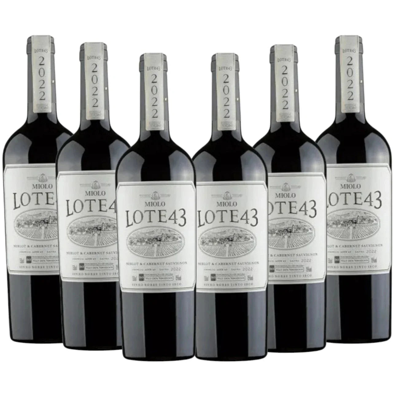 Kit 6 gfas Vinho Miolo Lote 43 Na caixa madeira Personalizada