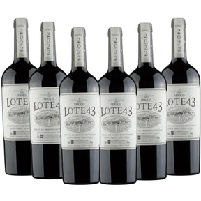 Kit 6 gfas Vinho Miolo Lote 43 Na caixa madeira Personalizada